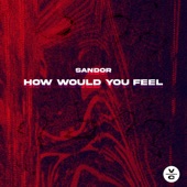 How Would You Feel (Extended Mix) artwork