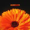 Marigold album lyrics, reviews, download
