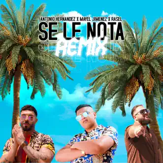 Se Le Nota (Remix) by Antonio Hernandez, Rasel & Mayel Jimenez song reviws