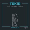 Unutmayacağım (İbrahim Erkal Hürmet 2) - Single