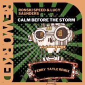 Calm Before the Storm (Ferry Tayle Remix) artwork