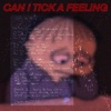 Can I Tick a Feeling? - Single