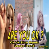 Are You Ok? Ok Ok Slow Remix Dance Trend artwork
