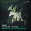 Sharks in the Woods (feat. Yves Paquet) - Single album lyrics, reviews, download