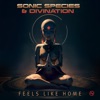 Feels Like Home - Single