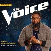 Ain’t Nobody (The Voice Performance) artwork