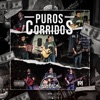 Puros Corridos en Vivo, Vol. 2 (En vivo)