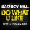 Do What U Like (feat. Alyssa Palmer) [Pt. 1] - Single album lyrics, reviews, download