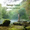 Damage Control (feat. Colin Grant Adams) song lyrics