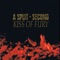 Kiss of Fury artwork