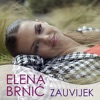 Zauvijek - Single