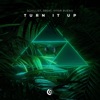 Turn It Up - Single