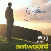 Wag Vir Die Antwoord (Radio Edit) artwork