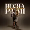 Hecha Pa Mi (Salsa) [Remix] song lyrics