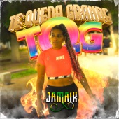 Te Queda Grande (Tqg) [Cover] artwork