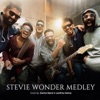 Stevie Wonder Medley - Single