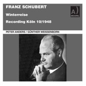 Schubert: Winterreise, Op. 89, D. 911 artwork