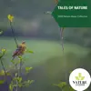 Tales of Nature - 2020 Nature Music Collection album lyrics, reviews, download