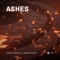Ashes (feat. Robbie Rosen) - Timmo Hendriks lyrics