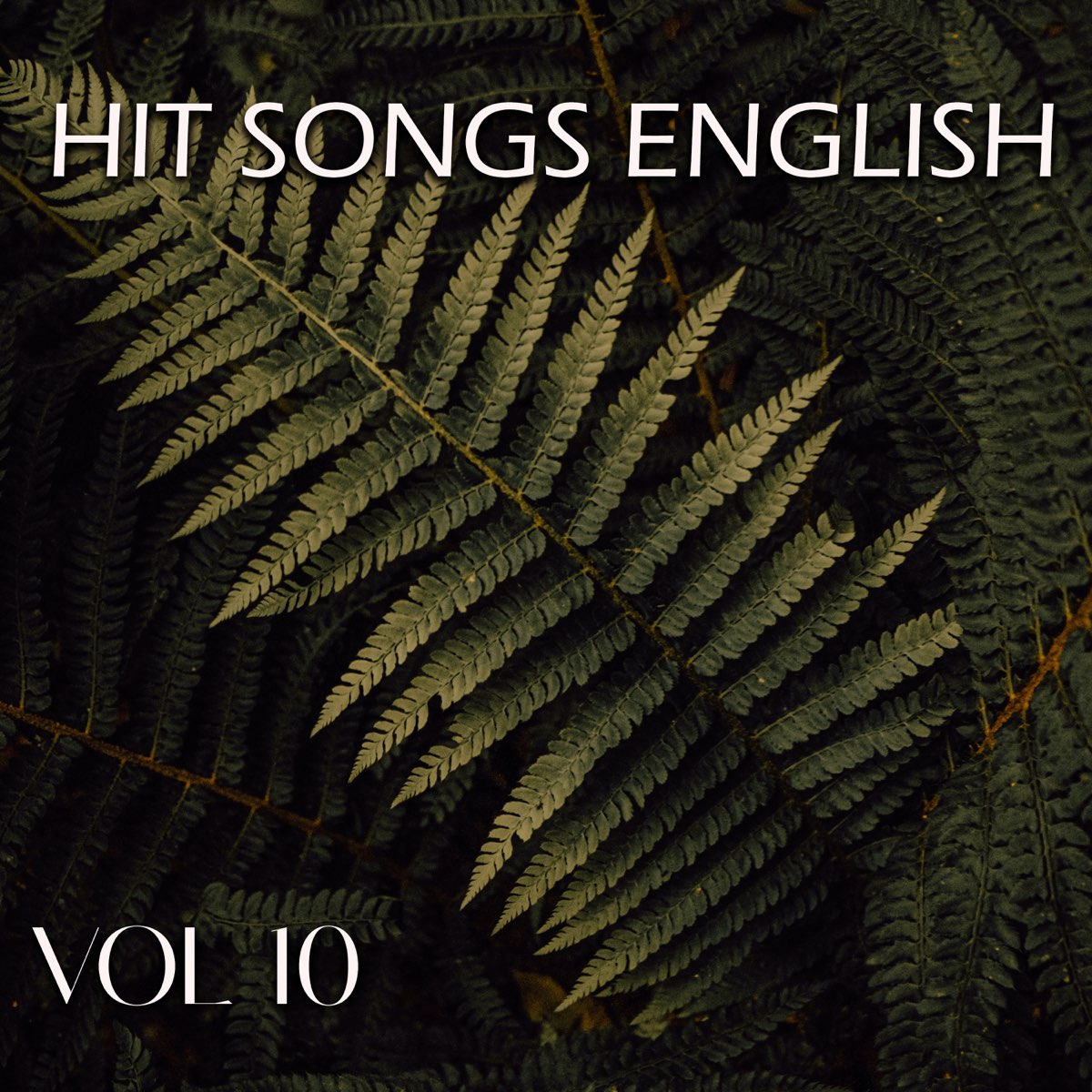 hit-songs-english-vol-10-by-various-artists-on-apple-music