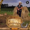 Caminho da Roça - Single