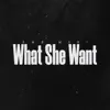 What She Want - Single album lyrics, reviews, download