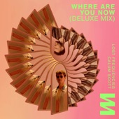 Where Are You Now (Deluxe Mix) artwork