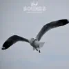 Nature Birds song lyrics