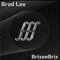 BrixonBrix - Brad Lee lyrics