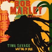 Waiting In Vain (feat. Tiwa Savage) artwork