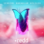 Şehrime Baharlar Gelecek artwork