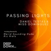 DANIEL TESTAS/MISS DOMINGUEZ/WEIRD SOUNDING DUDE - Passing Lights