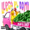 Llegó el Domi album lyrics, reviews, download