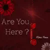 Are You Here ? - Single album lyrics, reviews, download