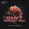 Can't Forget You - Single