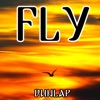 Fly - Single