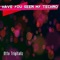 Have You Seen My Techno - Otto Trigitaliz lyrics