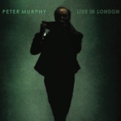 Peter Murphy Live In London artwork