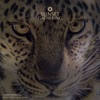 Bagheera - Single