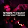 Because the Night - Single album lyrics, reviews, download