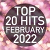 Top 20 Hits February 2022 (Instrumental), 2022