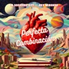 Perfecta Combinación - Single