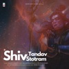 Shiv Tandav Stotram - Single