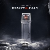 Beauty Of The Pain artwork