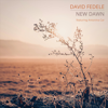 New Dawn - David Fedele & Antonina Car