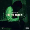 For the Moment - Single album lyrics, reviews, download