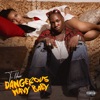 Dangerous Wavy Baby - EP