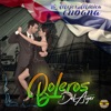 Boleros Del Ayer - El Yerberito