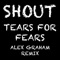 Shout (Tears for Fears) [Remix] cover