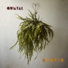 Quintal - Single